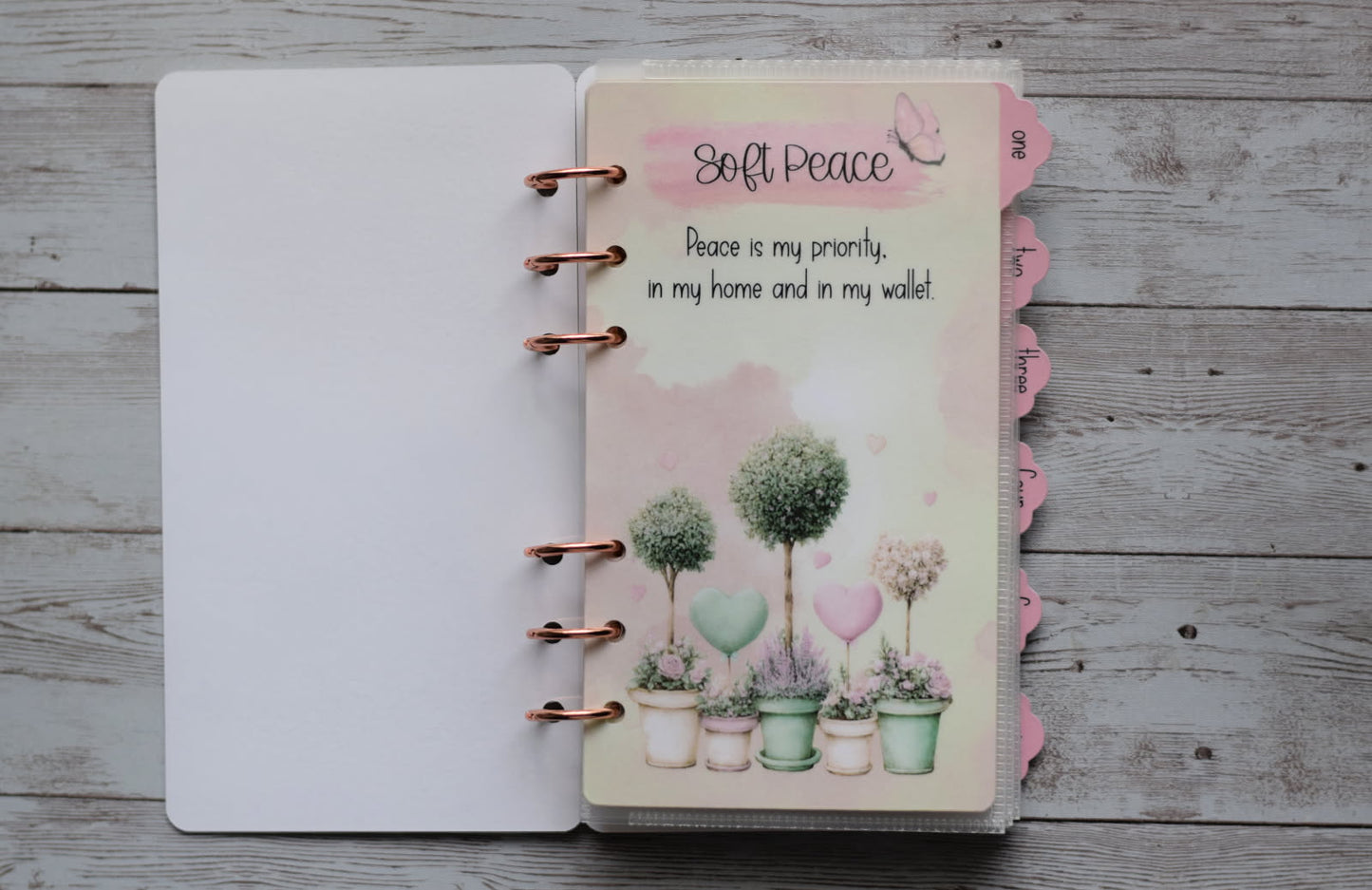 The Soft Life Savings Challenge , Save Money, A6 Budgeting Book Binder Cash Envelopes Wallet Budget