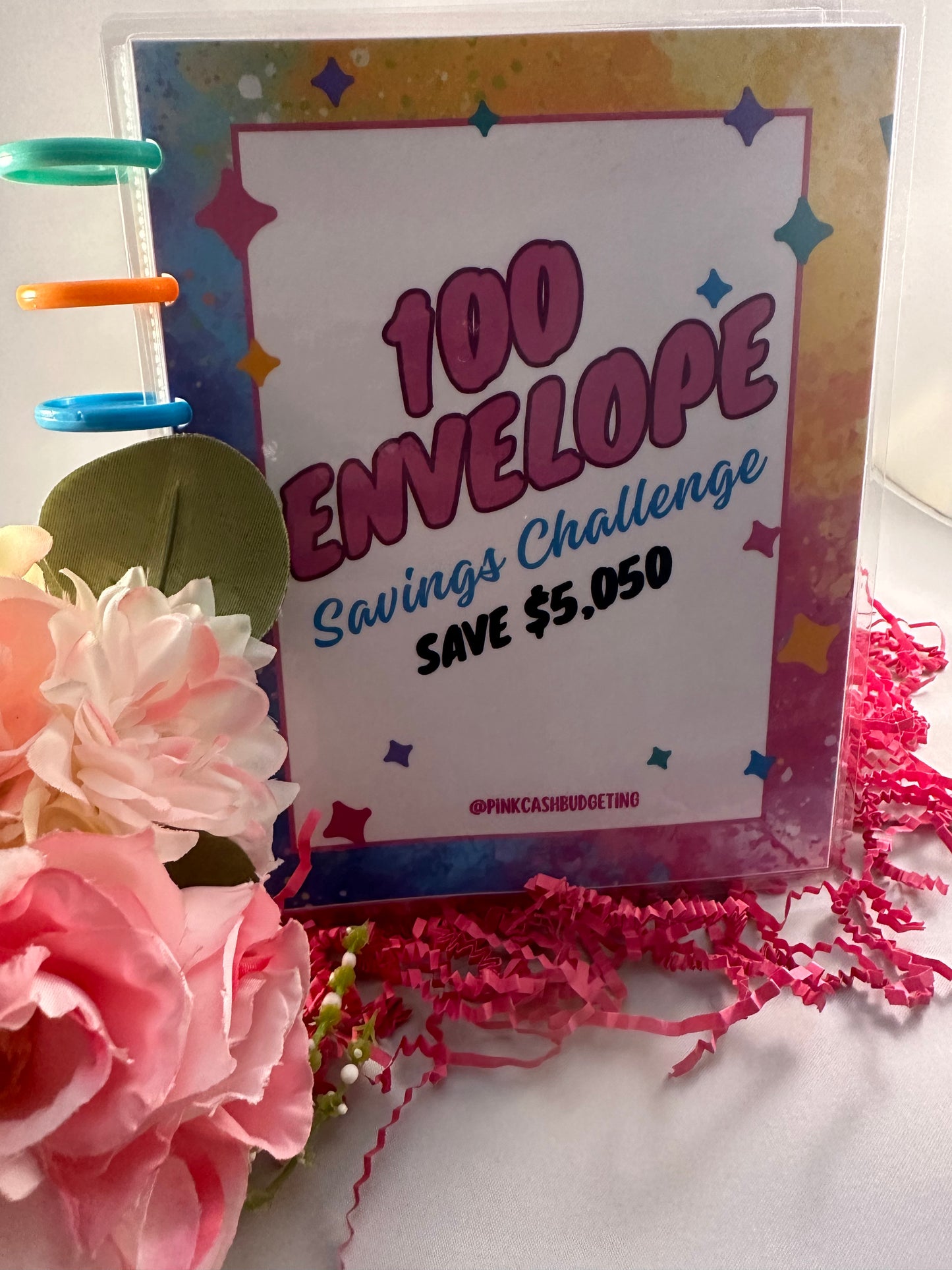 100 Savings Challenge Envelope Binder